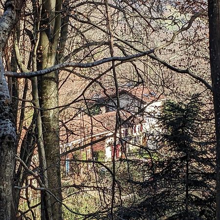 Gite De La Ouedolle Sengouagnet Zewnętrze zdjęcie